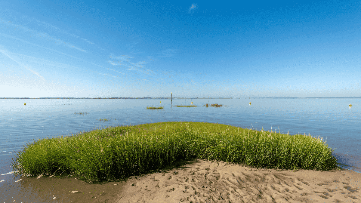 bassin arcachon tourisme durable plage végétation parcs à huîtres