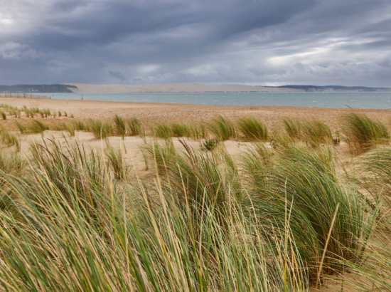 evasion-arcachon-plage-nature