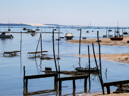 Vue typique du Bassin d'Arcachon à marée basse avec ses parcs à huîtres, ses piquets en bois et ses bateaux au mouillage, évoquant les excursions maritimes accessibles sans voiture depuis l'Hôtel Point France