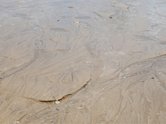 Gros plan sur les textures naturelles et ridées du sable mouillé à marée basse sur une plage d'Arcachon, illustrant le cadre apaisant d'un séminaire résidentiel d'entreprise en bord de mer où tout se fait à pied